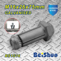 Made in China Anchor Bolt M16X26X75mm